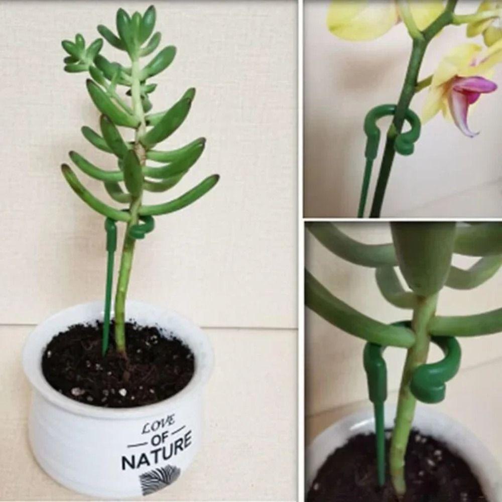 10Pcs Fixed Bonsai Fixing Tool Support Rod Flower Vine Climbing Bracket  For Plants Rose Flowers