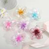 Frangipani Transparent Seaside Vacation Hair Clip - Bauhinia Shark Claw Updo Accessory