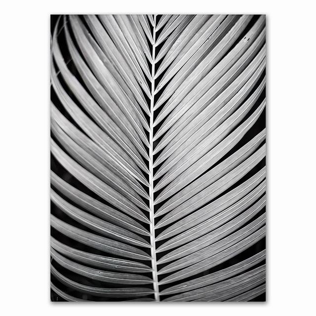Tuval Boyama Ev Dekor İskandinav Siyah Beyaz Kalp Palmiye Yaprağı Tüy Resimleri Baskılar Duvar sanat posterleri Oturma Odası Için Modüler Hiçbir Çerçeve