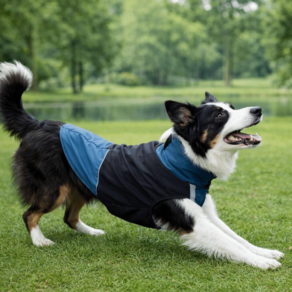 Fashion Adjustable Dog Rain Jacket Turtleneck Reflective Stripe Dog Rain Cloak Leash Hole Windproof Waterproof Cloak Outdoor