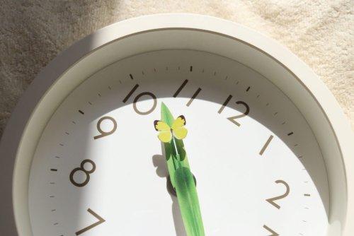 [Lemnos] Lemnos Barsch Design Wanduhr