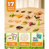 Life Cycle Learning Education Toys, Insect Caterpillar To Butterfly Kit, Ladybug, Bee, Tadpole To Frog Kit Life Cycle Toys for Kids, Preschool