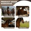 Horse Wind Resistant Eye Mask Tear Resistant Horse Eyewears Protective Eye Shield Block for Training And Shows