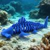 3D Printed Shark Figurine Flexible Fidget Animal Model Articulated Stress Relief Desk Toy