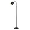 oeny Floor Lamp with Remote Control