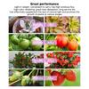 Solar Plant Grow Light Monocrystalline Silicon Sunlight Plant Lamp Strip with Solar Panel for Indoor Seedings 5V 5W