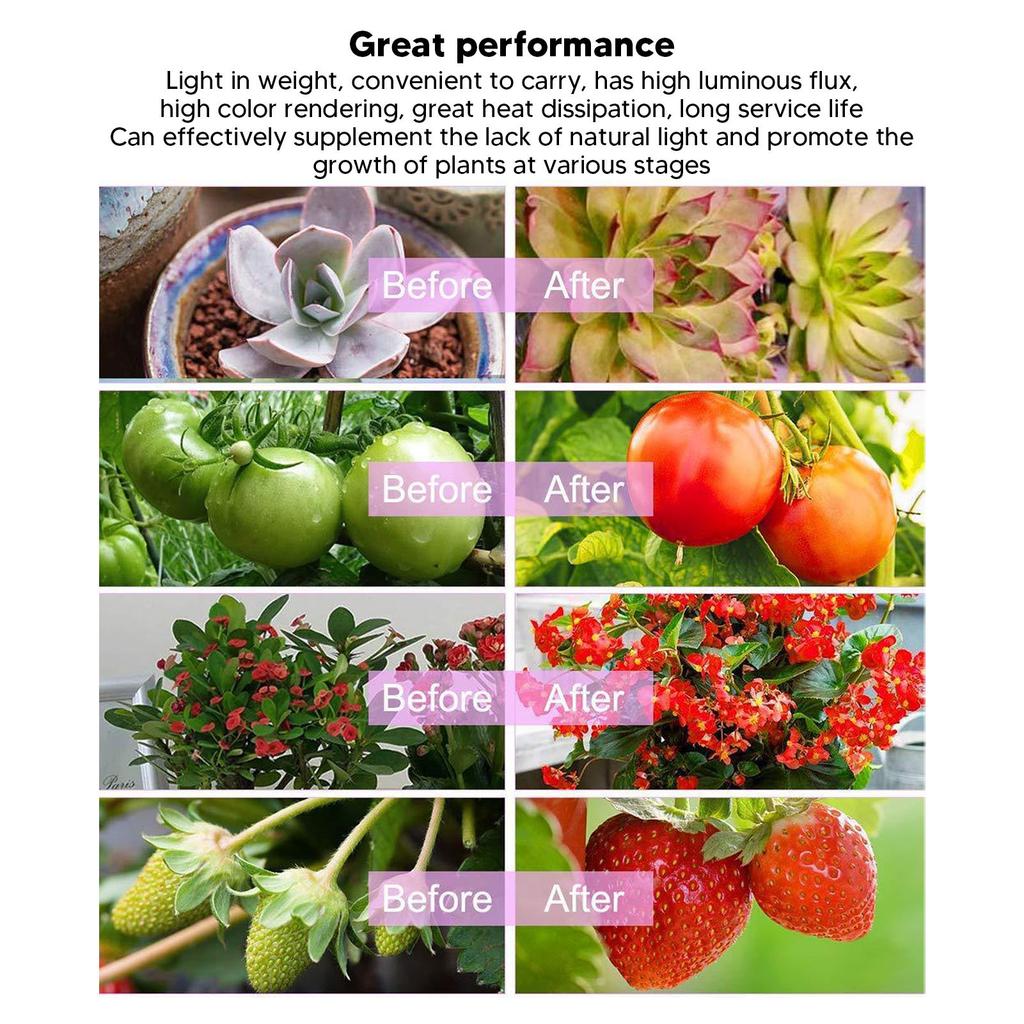 Solar Plant Grow Light Monocrystalline Silicon Sunlight Plant Lamp Strip with Solar Panel for Indoor Seedings 5V 5W