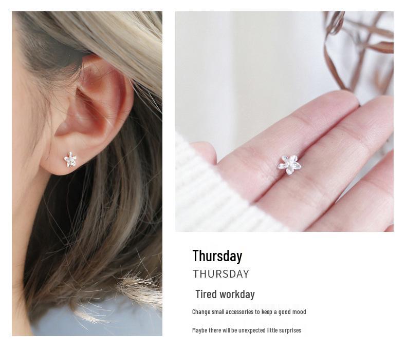 S925 Silber Ohrstecker Geschenkset für Sie - Perfekt für Weihnachten, Geburtstag oder einen besonderen Anlass