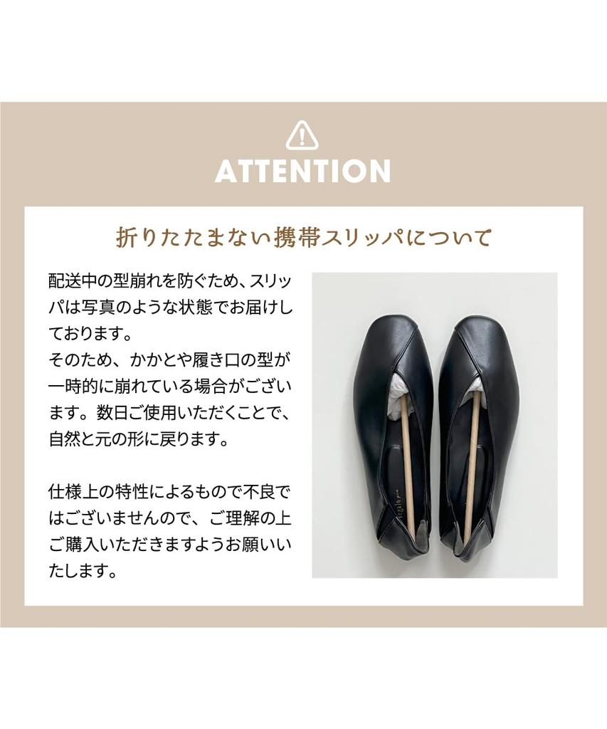 Regalo Portable Simple with Storage Perfect for Entrance School Open and Use Japanese Shoe and Weight Women's Slippers, Non-Fold, Stylish, Pumps,