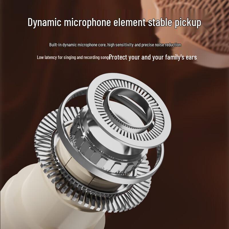 SANSUI V2 Wireless Bluetooth KTV Speaker with Dual Microphones CN plug (adapter included)