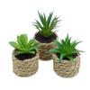 Fake Simulation Potted Plants Mini Potted Plants Doll House Decoration  Office Decor