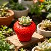 3D Printed Fruit Flower Pot Plastic Flower Container Versatile Planter Holder  Placement Easy