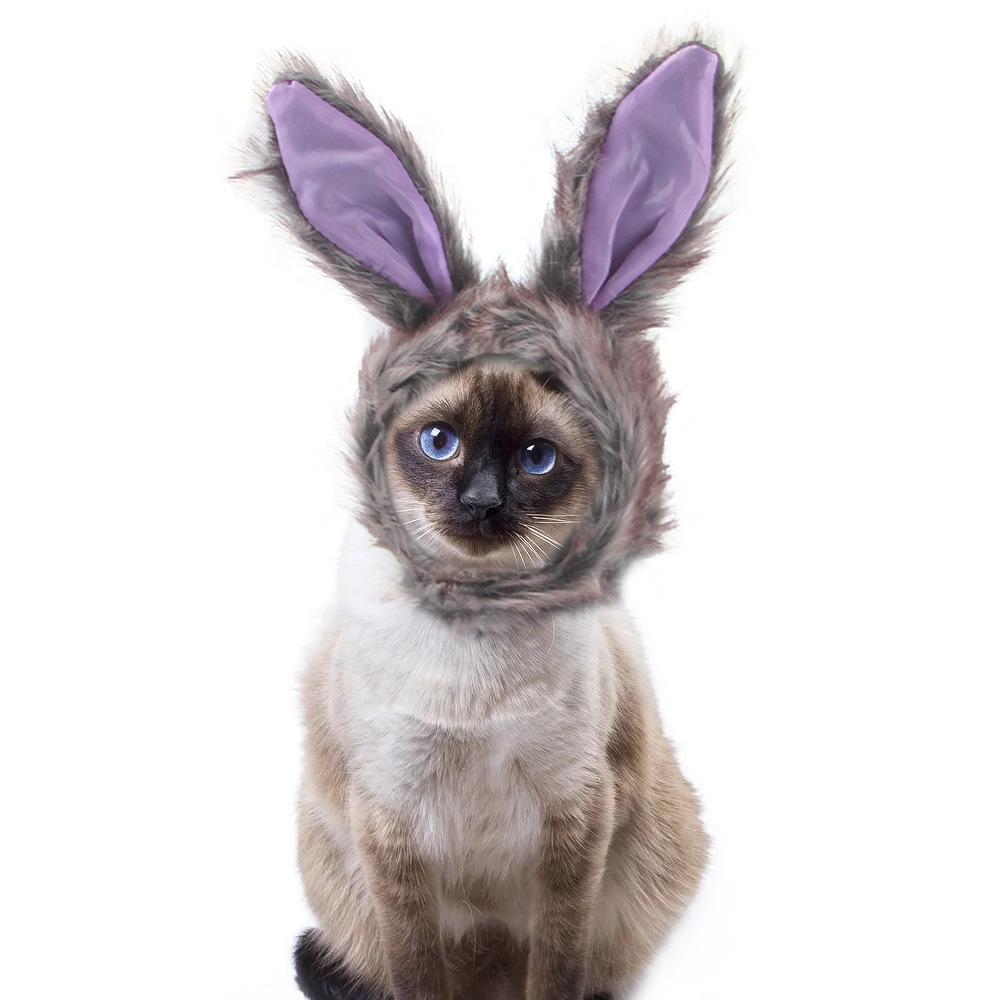 Pet Hood Cute Dog Teddy Dress Up Sunflower Cat Headgear Wig Cat Hat