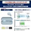 Sony (SONY) Completely Wireless Earphones WF-C500: /Lightweight and Small 5.4g/High Precision Call quality/Easy pairing/IPX4 Drip-proof