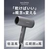 SALONIA Smooth Shine Dryer Large Airflow Fast Drying Lightweight Hair Gray