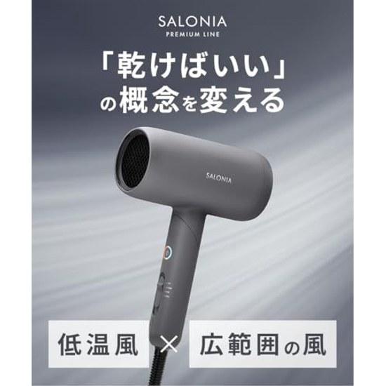 SALONIA Smooth Shine Dryer Large Airflow Fast Drying Lightweight Hair Gray