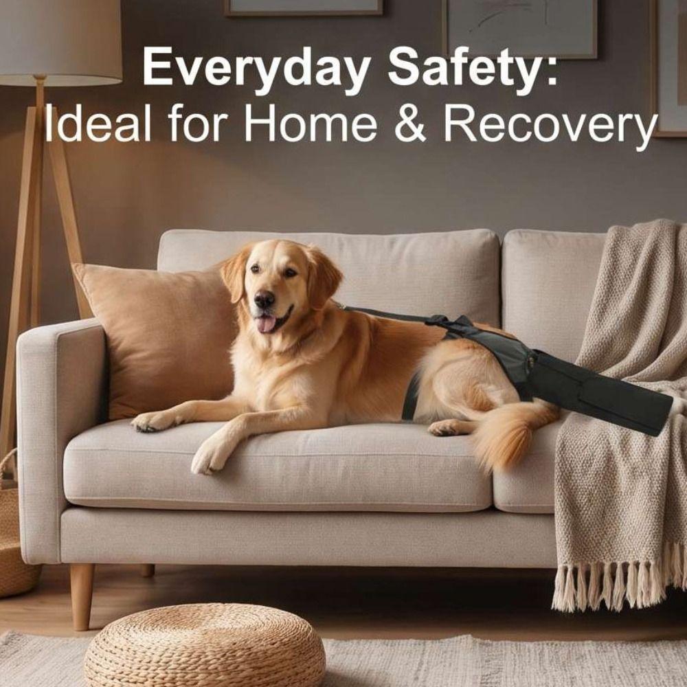Breathable Dog Tail Protector Splash-proof Protective Case Protective Cover  Licking Prevention