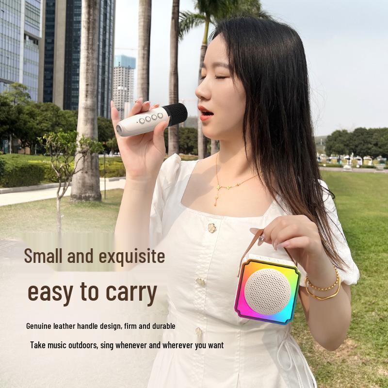 Private Mold P8 Bluetooth Wireless KTV Speaker & Kids' Microphone All-in-One for Home and Outdoor Use