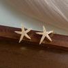 Silver Needle Zircon Starfish Stud Earrings - Simple & Versatile High-End Fashion Jewelry for Women
