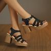 Summer New Women's Casual Fashion Sandals with Thick Heel, Wedge, Platform, Fish Mouth and High Heel