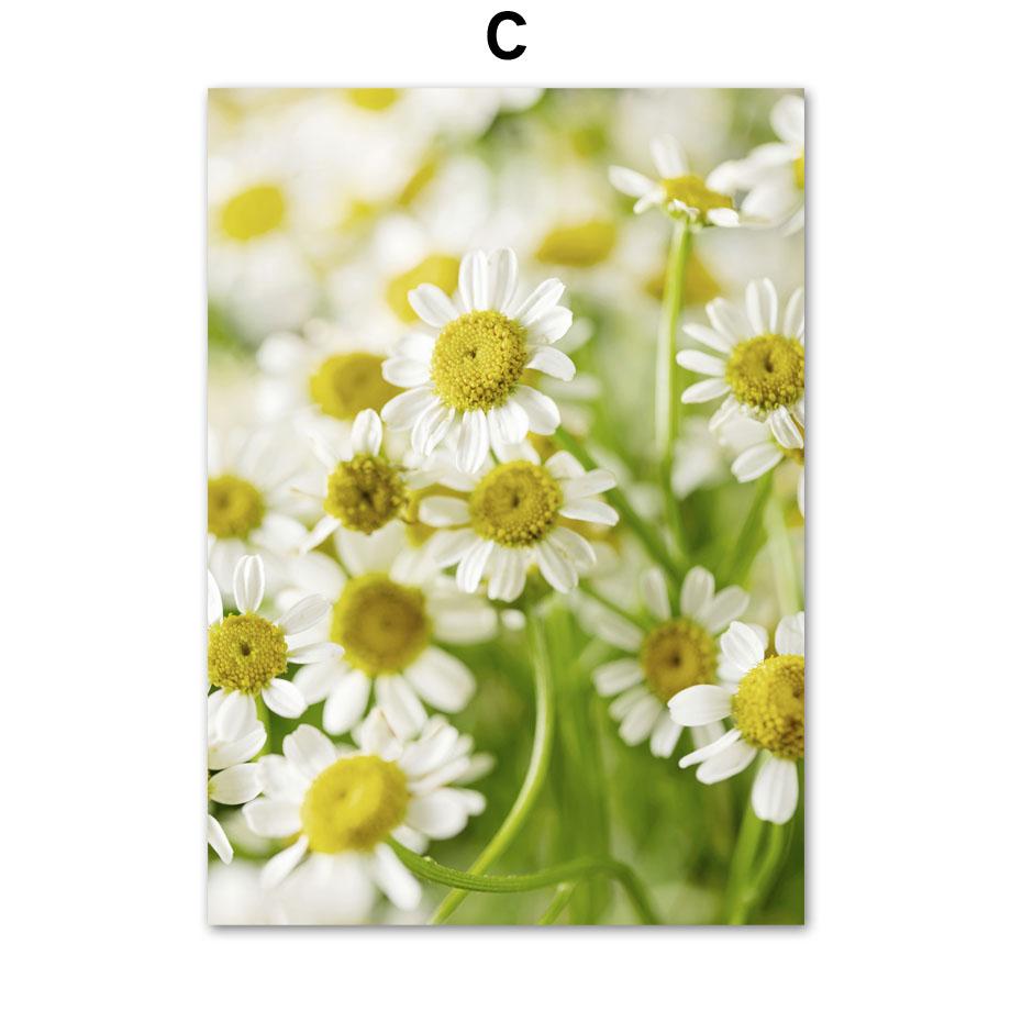 

Желтая трава георгин ромашка подсолнух автомобильная линия поза настенные художественные принты холст живопись скандинавский постер Декор фотографии для гостиной 50X70 cm No Framed