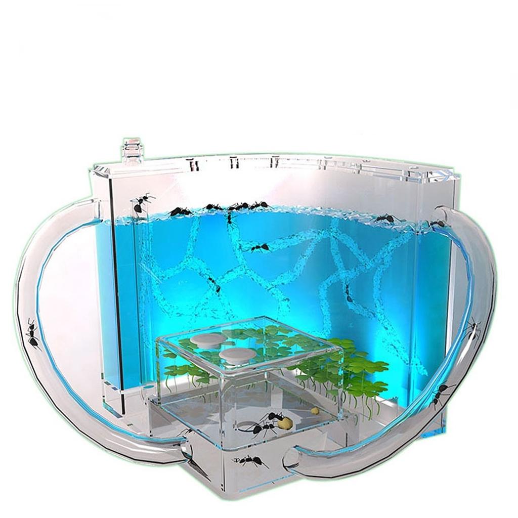 DIY Luminous Small Pet Living Boxes, Ant Workshop, Ant Villa, Workshop, Home Castle, Ant Farm, Children ToysDIY