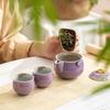 Hand painted purple peony kung fu tea set grass and wood ash underglaze color one pot two cups storage bag household ceramic travel set