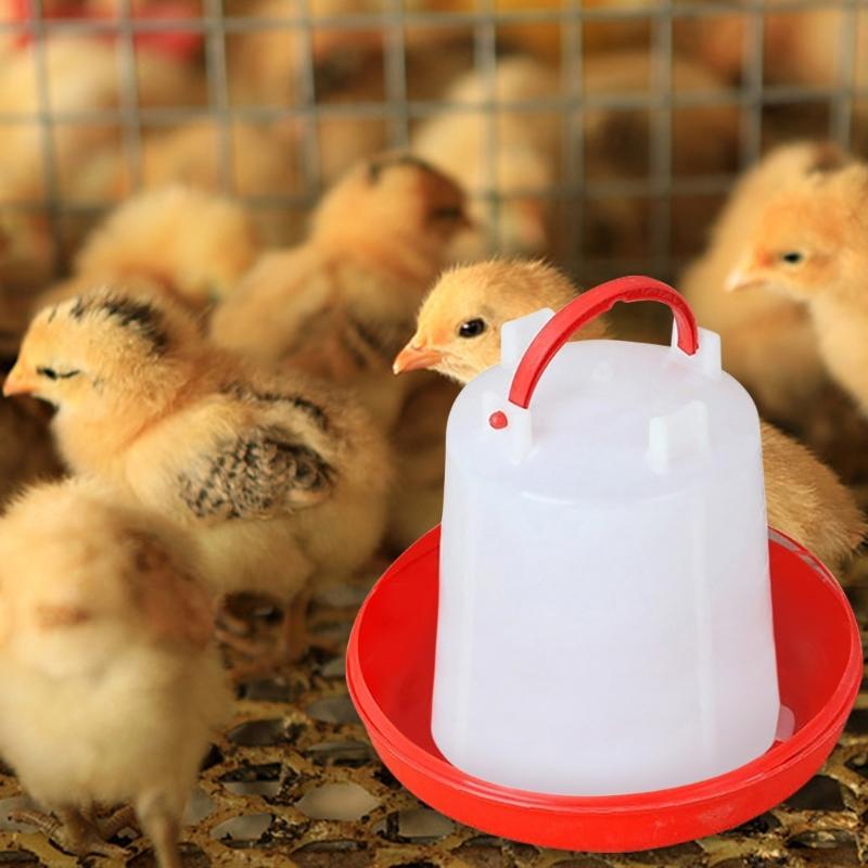 Geflügelfuttertränken und Tränken Set Für Kleines Geflügel Kunststoff Leicht zu Reinigen Küken Entenküken Aufzucht Fütterung Wesentlich