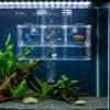 Highly Transparent Fish Breeding Box Acrylic Suspension Aquarium Isolation Box Double Layer Hatching Incubator Guppies Breeding