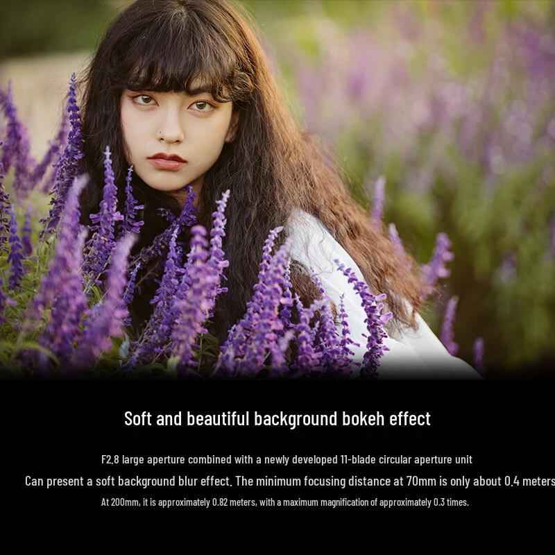 Sony Объектив FE 70-200mm F2.8 GM OSS II G Master (Китайская версия)