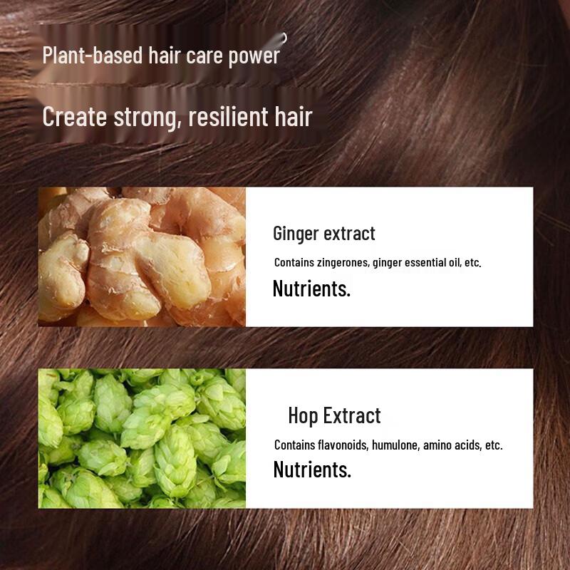 Fenghua Ginger Hair Strengthening Shampoo