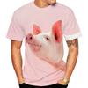T-shirtler – Tişörtler