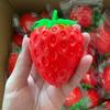Finger Relax Strawberry Squishy Building Blocks Blocks Filled Squishy Crunchy Squishy  Adult Kids
