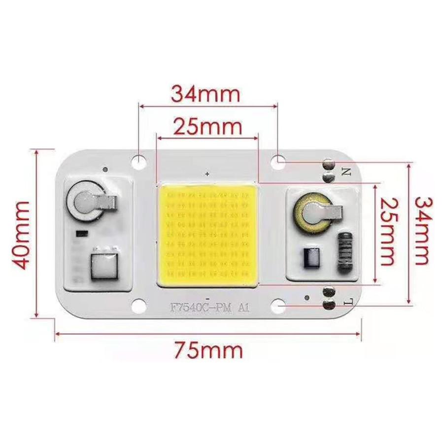 AC110V 220V LED COB CHIP 20W 30W 50W Cold White Warm White Light Full Spectrum Emitting Diode LED Matrix Indoor Plant Light