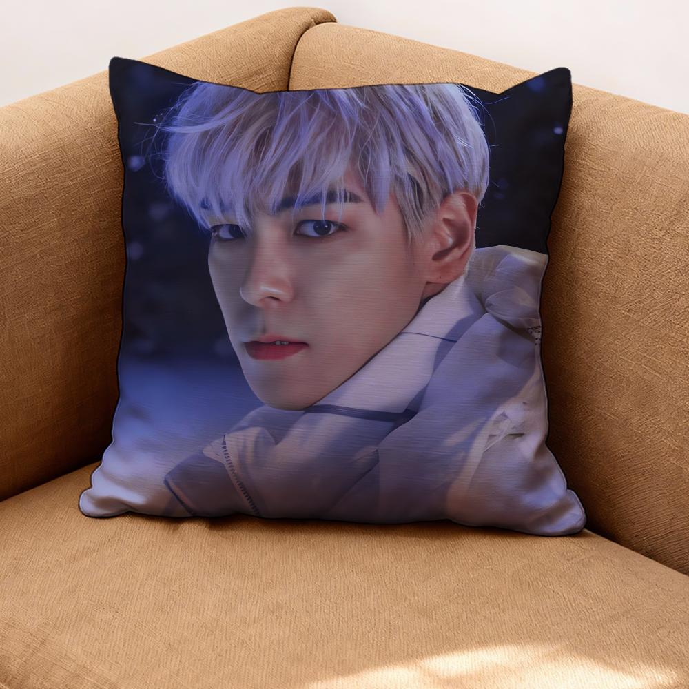 

T.O.P Cushion Cover Premium Comfort Reversible Pillow Cove -Two in One Design for Any Room & Car Interior 30cmx30cm