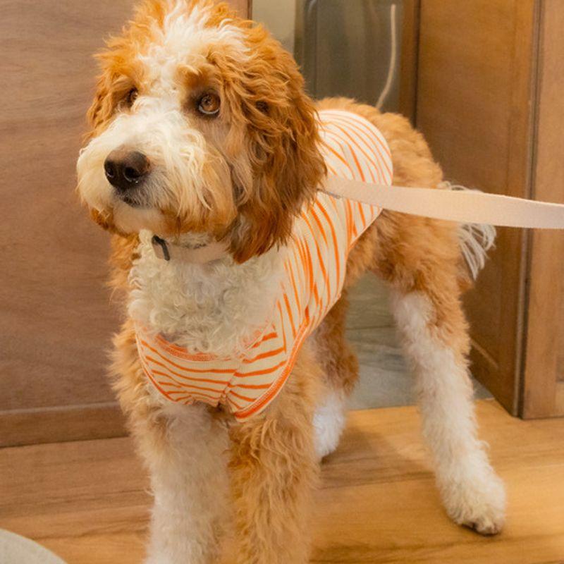 UBUN`TU Daily Stripe Ärmellos Orange