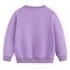 Paw Patrol Boys' 2025 Autumn Korean Style Plus Velvet Hoodie - Round Neck Pullover