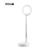 Woopin Foldable Retractable Desk Lamp TD12