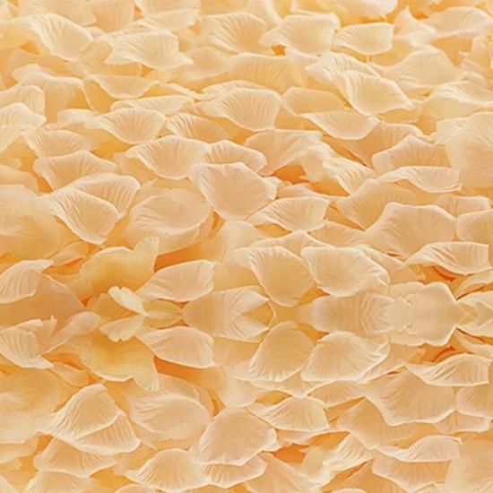 Rose Petal Decor for Weddings: Ceremony, Room, Proposal & More