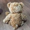 [USED] Teddy bear stuffed animal
