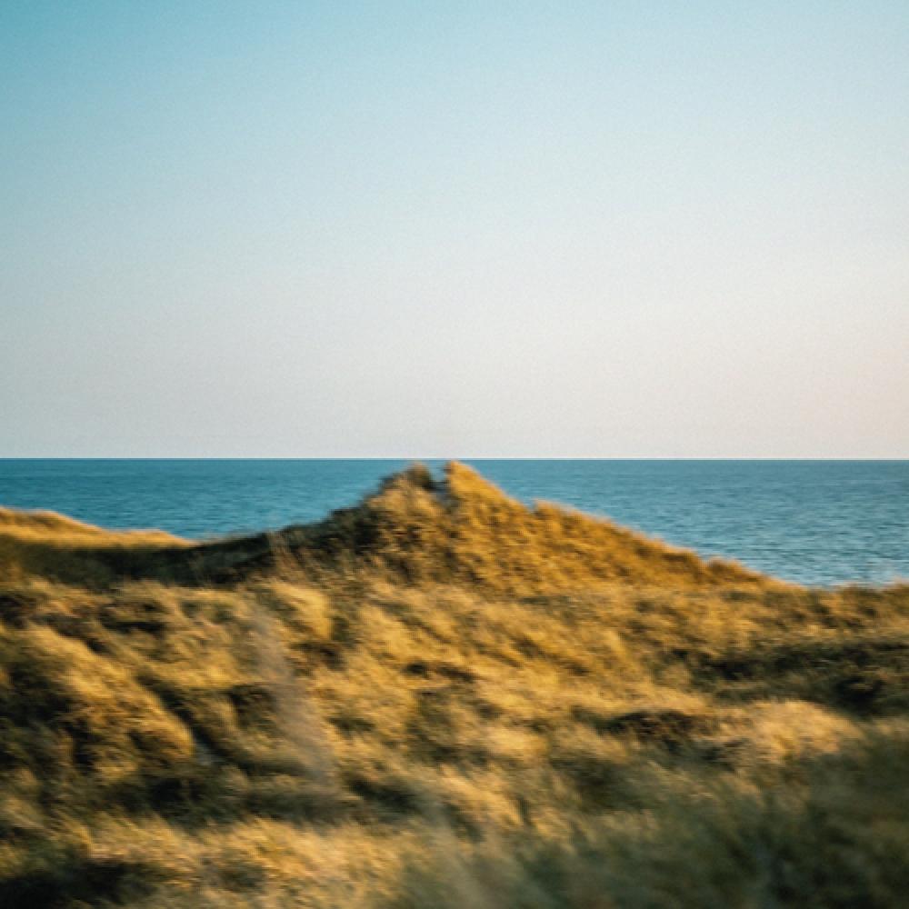 Noctunnel Hand Cream 50ml Daydream