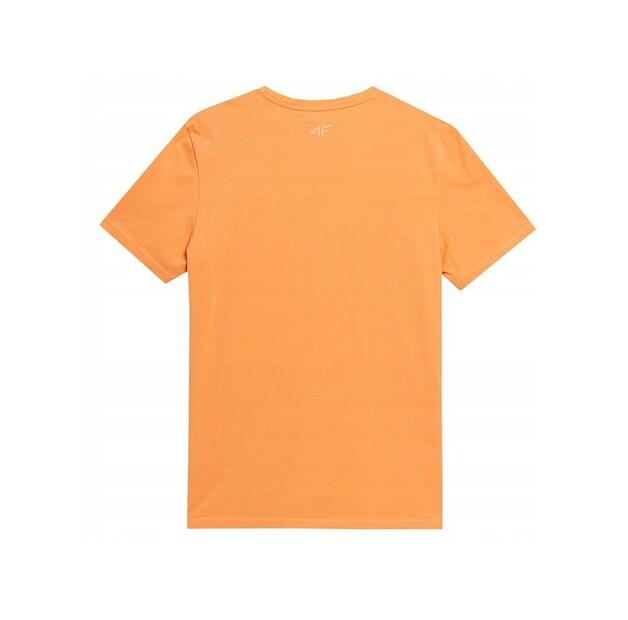 Футболка 4F TTSHM363