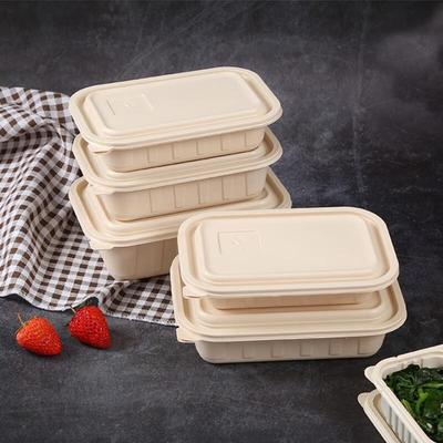 Disposable Corn Starch Food Container