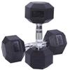 San Hua Lang 30kg Hex Dumbbell