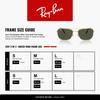 Sunglasses 0RB3755 GUNMETAL GREEN POLAR Polarized [Ray-Ban] (Green) 004/5859