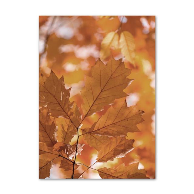 

Осенний пейзаж Картина Золотые листья Лес Картина на холсте Современный домашний декор стены Плакат Печать Декор интерьера Без рамки 21*30cm No Frame