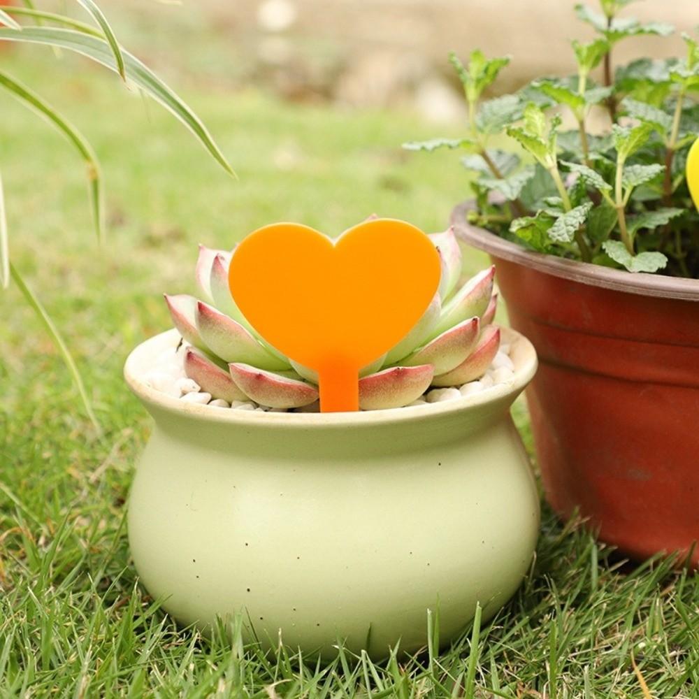 100PCS Reusable Plant Growth Label Waterproof Nursery Markers  DIY Garden Decoration