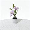 Simulated Artificial Flowers, Straight Tube Black Sand, Two Types of White Lilies, Indoor Artificial Green Plants, Small Pot Plant Decorative Pieces
