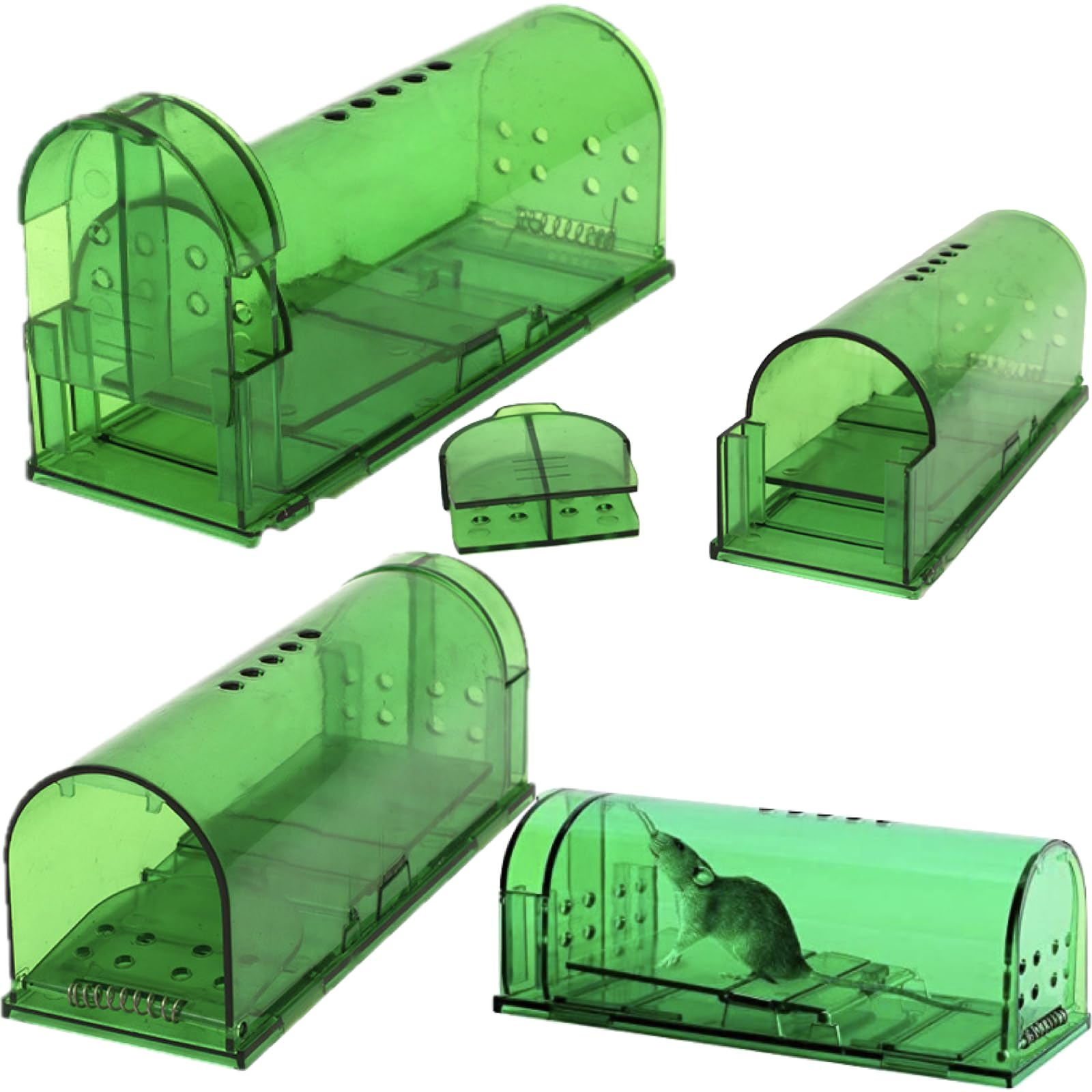 

Ailunate Mouse Traps, Small Mouse Traps with Step-On Bait, Reusable Traps for House Mice, Set of 4