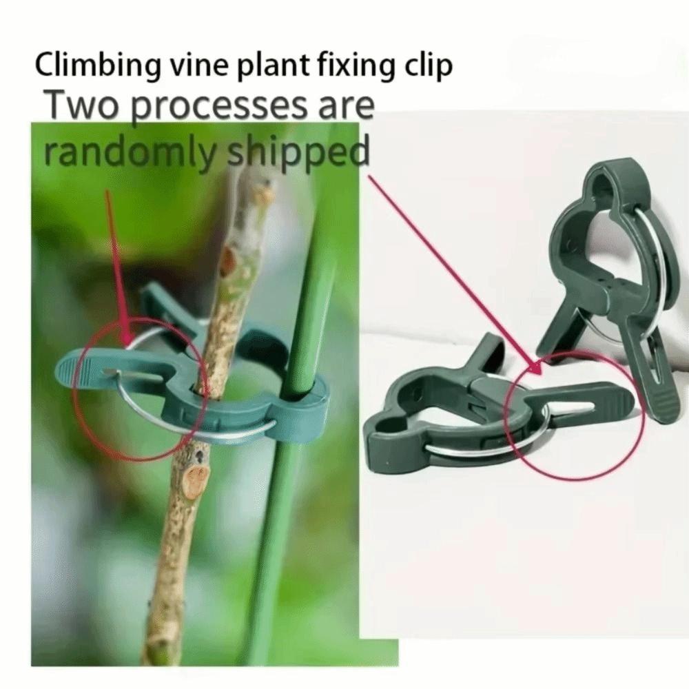10Pcs Lever Ring Garden Plant Support Clips Durable Plastic Green Lever Ring Clips  Fixed Plants